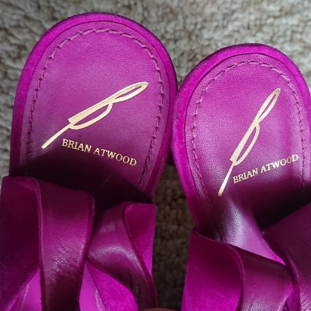 Brian Atwood brian atwood beatris